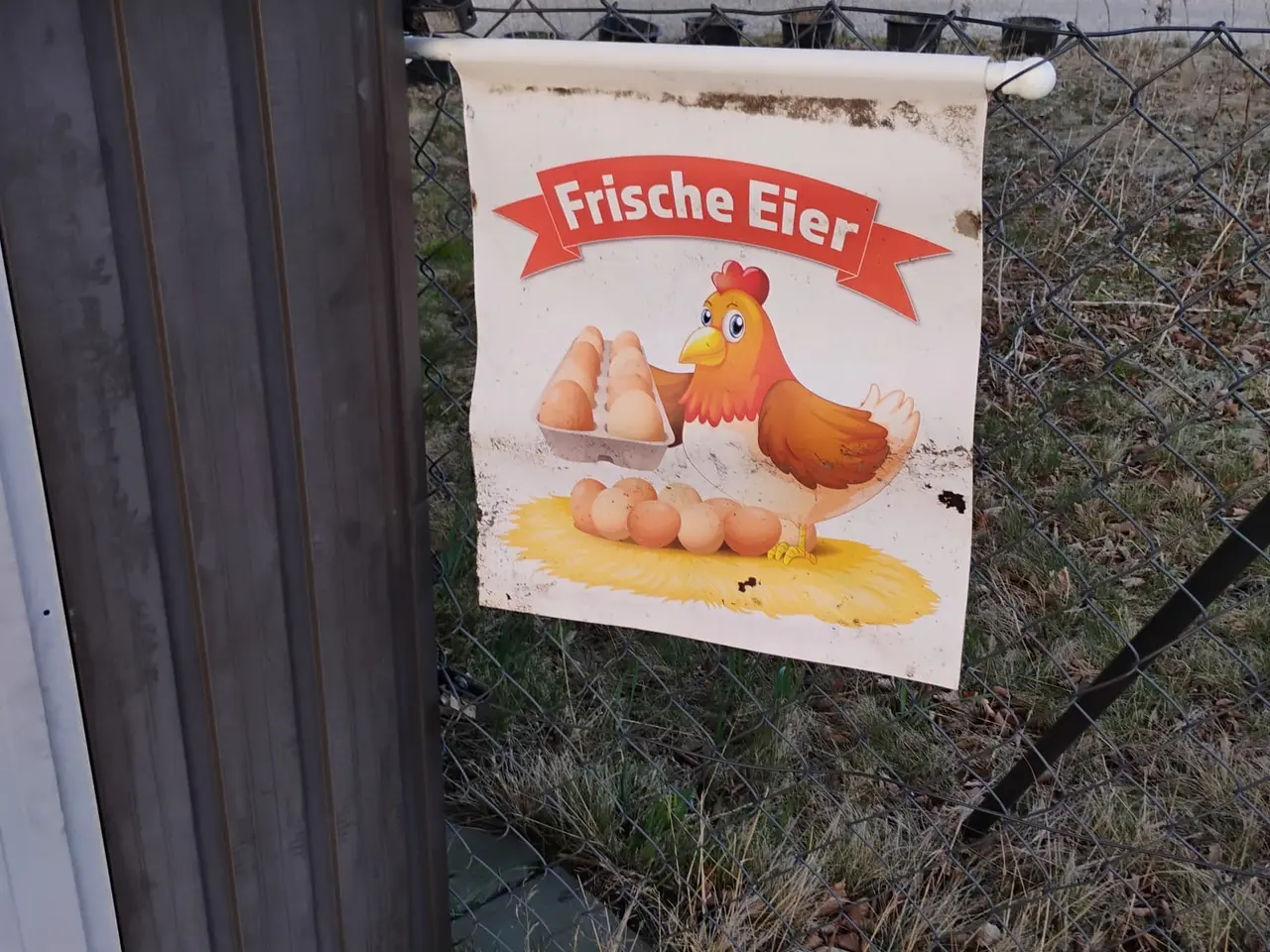 Billede 4 - 30 æg fra mine fritgående høns til salg i 6818 Årr
