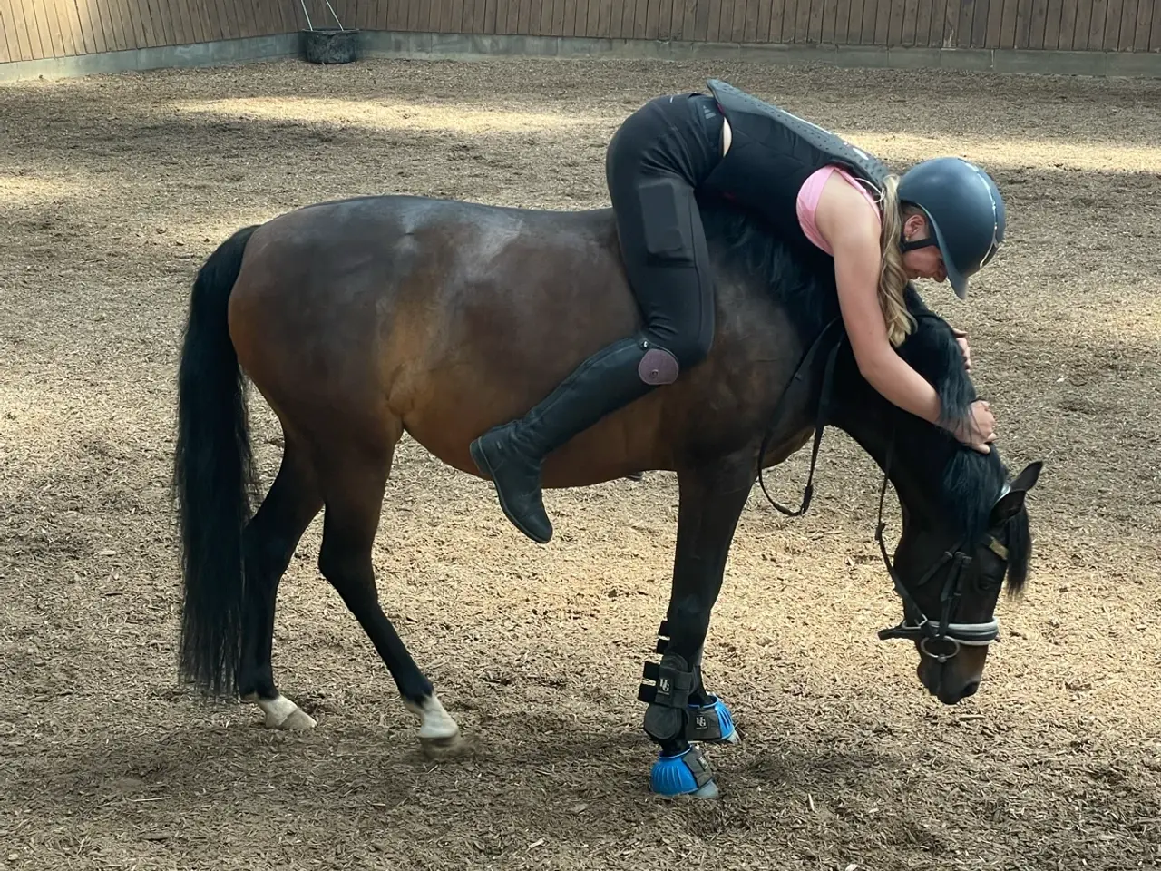 Billede 11 - Smuk Wels pony hoppe