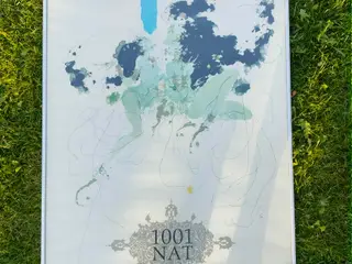 1001 nat