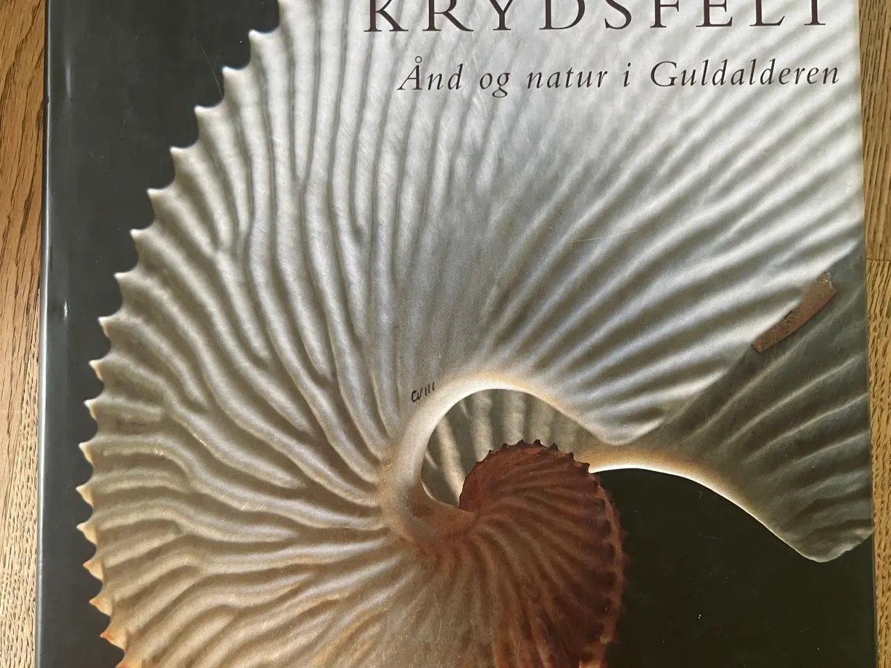 Billede 1 - Krydsfelt ånd og natur i Guldalderen
