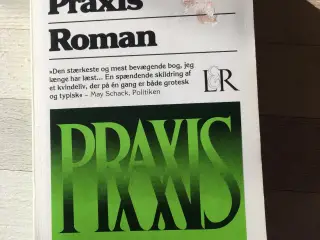 Praxis, Fay Weldon