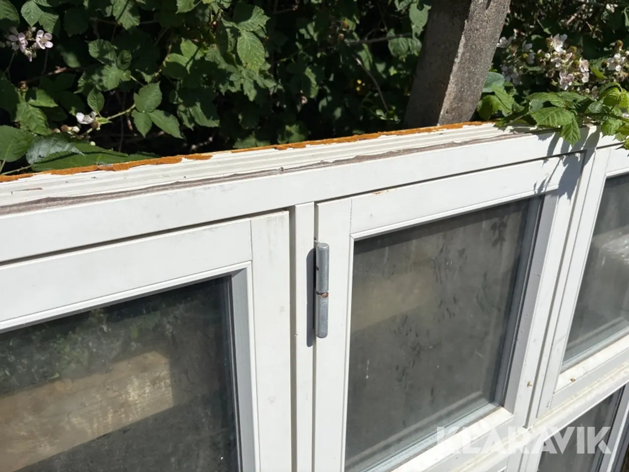 Billede 11 - Vindue 1548x1568mm 1 styk