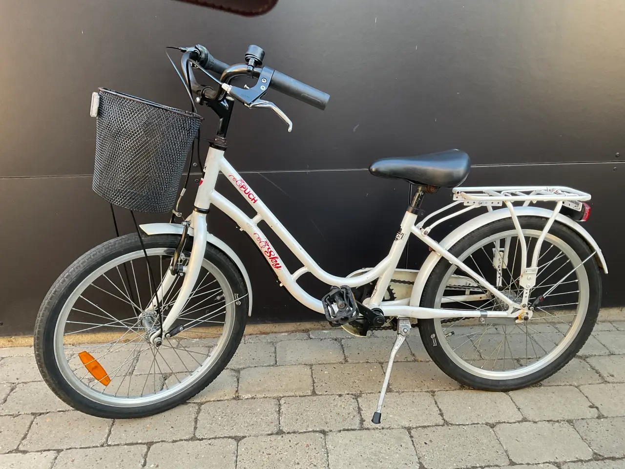 Billede 3 - Puck 20”