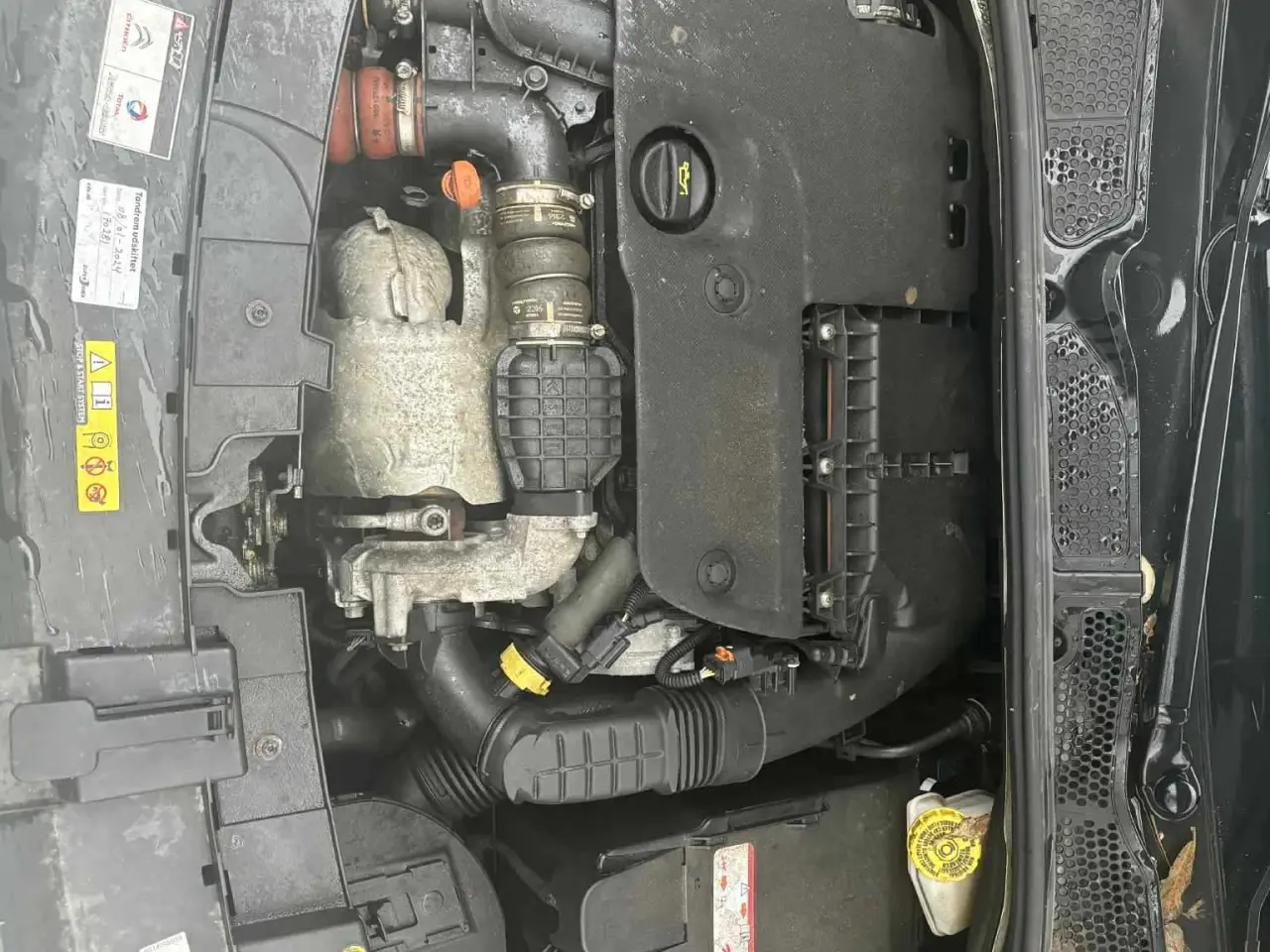Billede 11 - Citroen c4 cactus