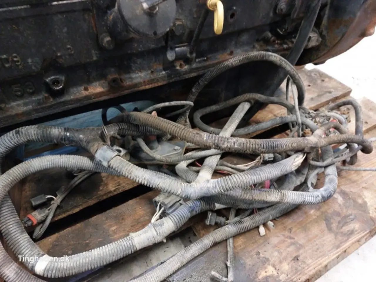 Billede 3 - Cummins 6TA-590 Motor 183841A4