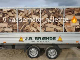 TØRT BRÆNDE PÅ LAGER, LØVTRÆ ELLER NÅLETRÆ