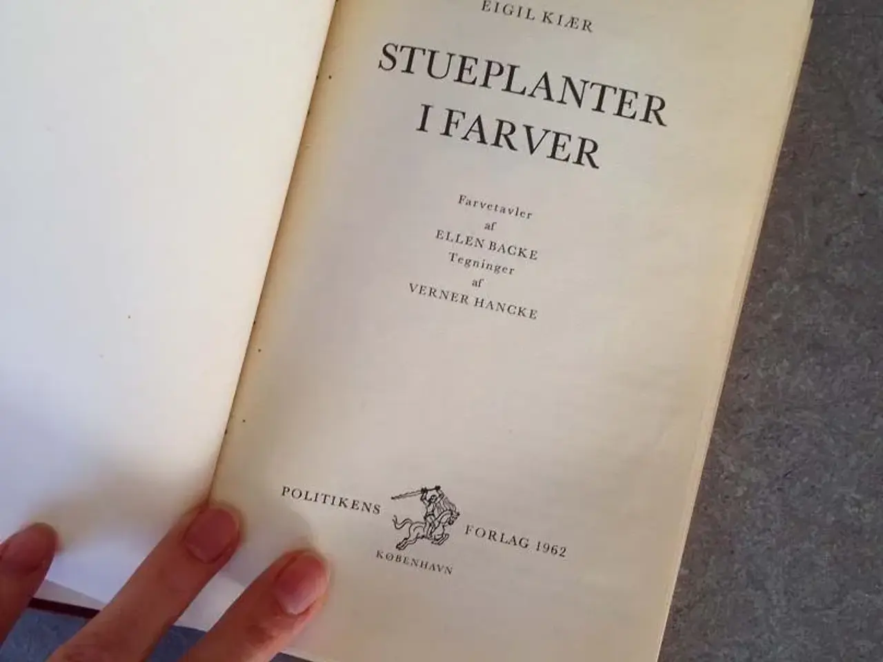 Billede 7 - STUEPLANTER I FARVER - BOG med flotte pl