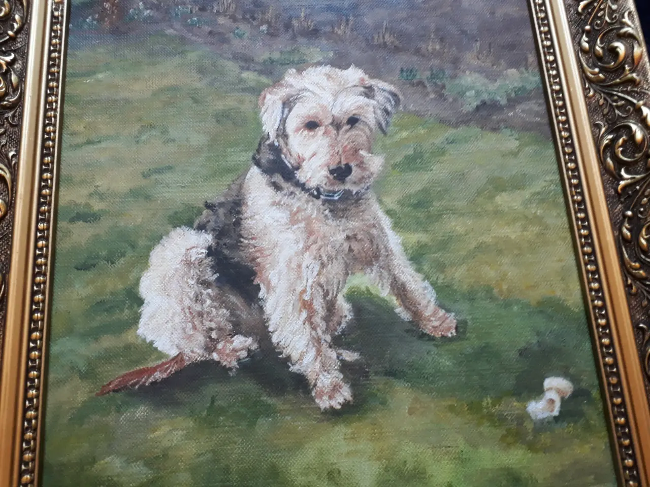 Billede 6 - Oliemaleri Ruhåret Foxterrier
