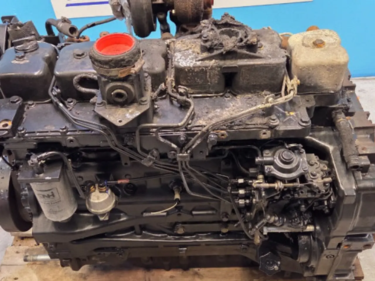 Billede 18 - Iveco 6 FPT Motor 87318899