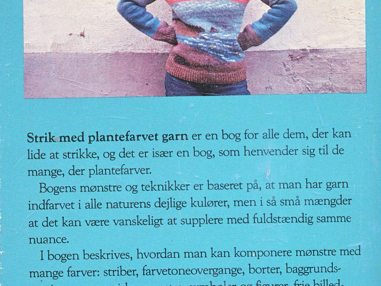 Billede 2 - STRIK MED PLANTEFARVET GARN AF LENA NESSLE