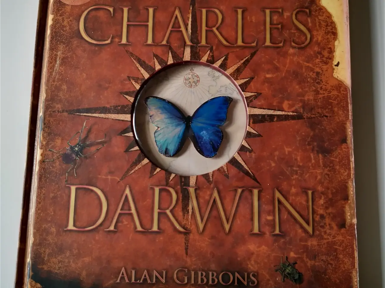 Billede 1 - Charles Darwin. Af Alan Gibbons