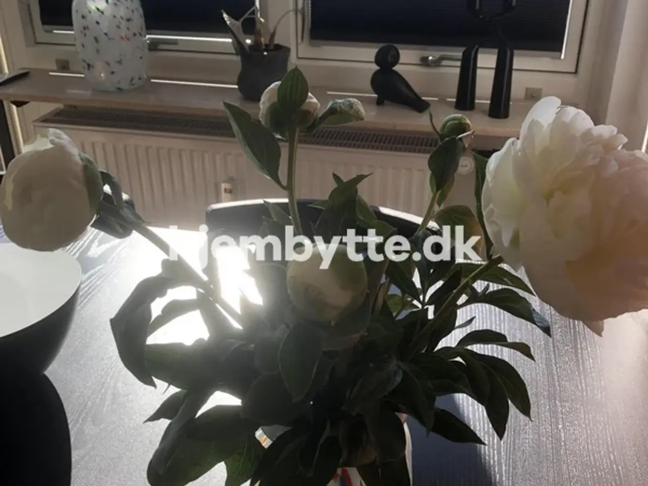 Billede 1 - Hjembytte - Kobbervej