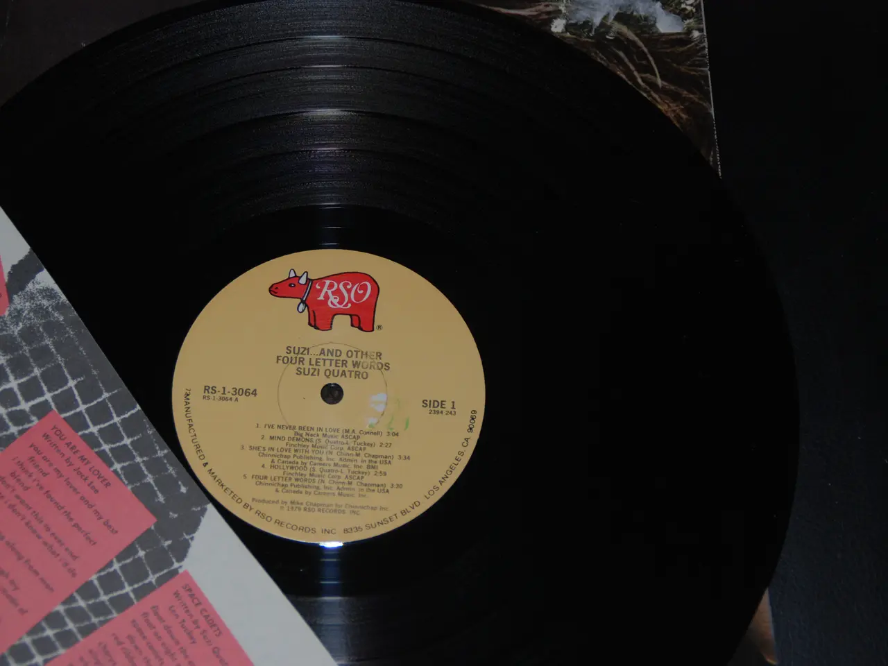 Billede 4 - LP - Suzi Quatro