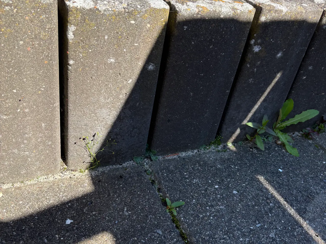 Billede 2 - Gratis brugte betonsten
