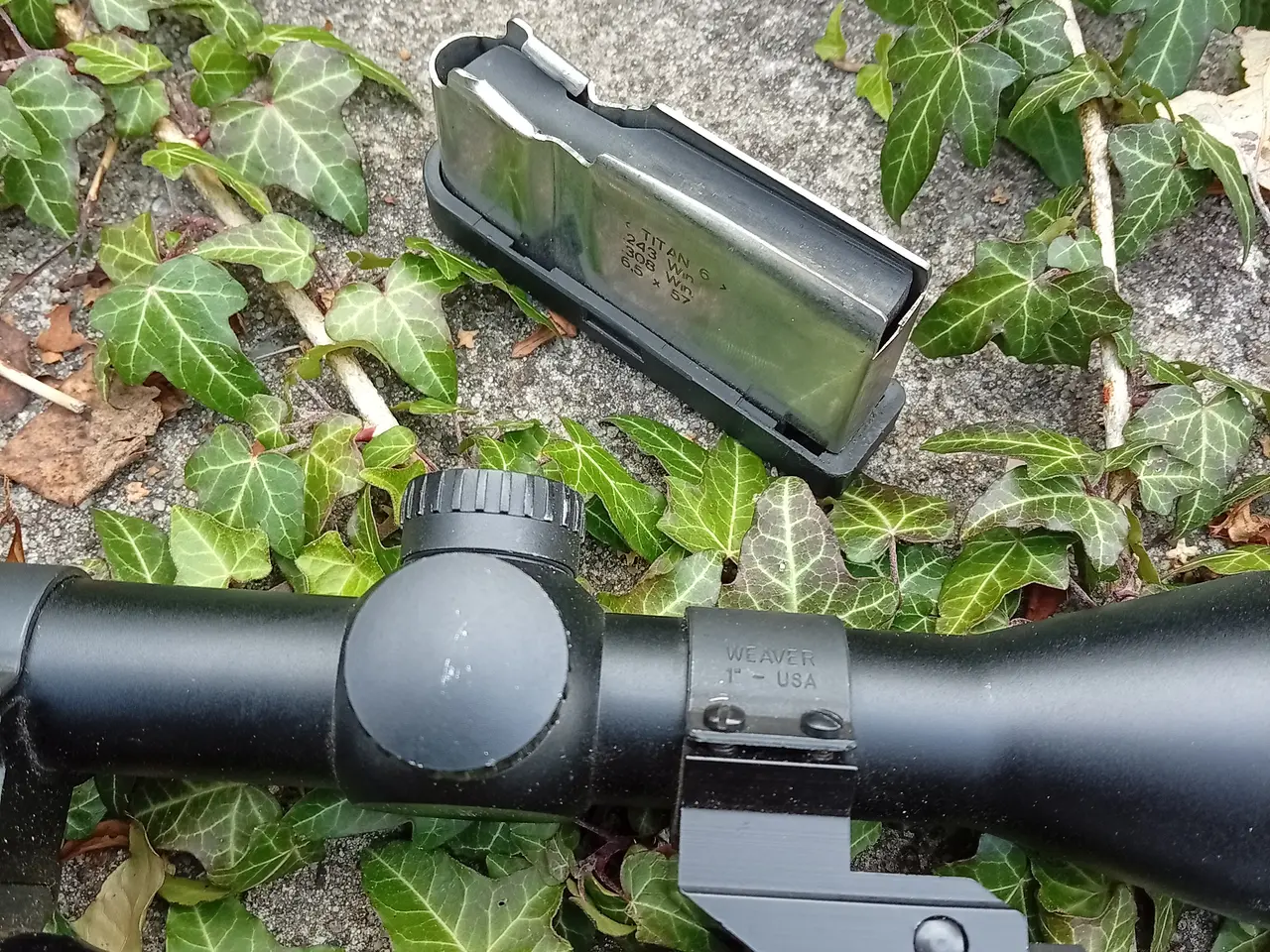 Billede 2 - Østrigske Røsler Titan 6 