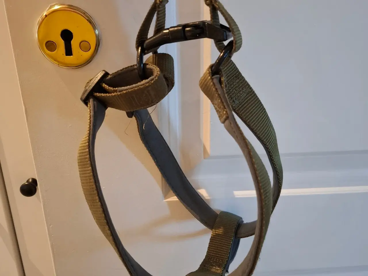 Billede 2 - Hundesele