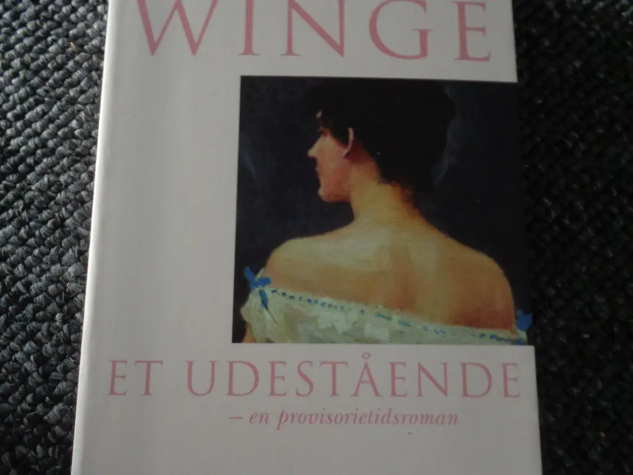 Billede 1 - Et udestående 