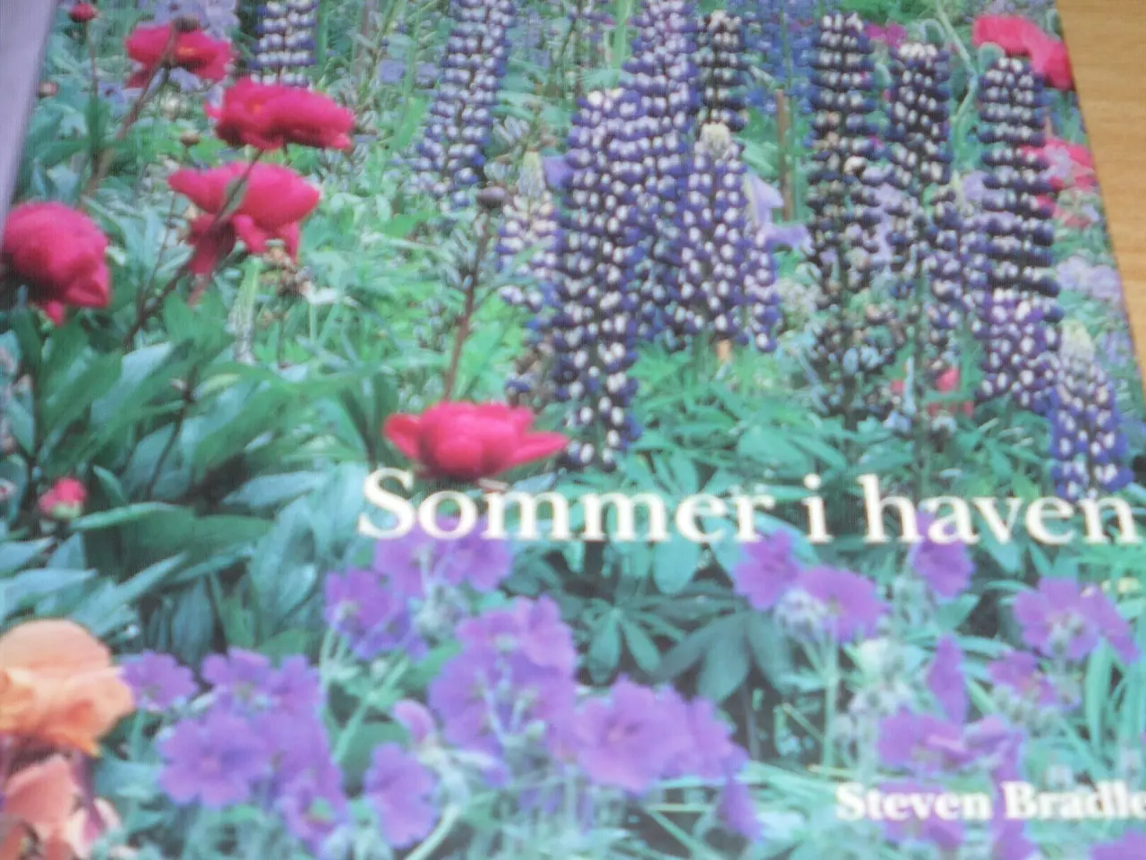 Billede 1 - Steven Bradley. SOMMER I HAVEN.