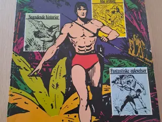 Den store Tarzan bog (tegneserier)