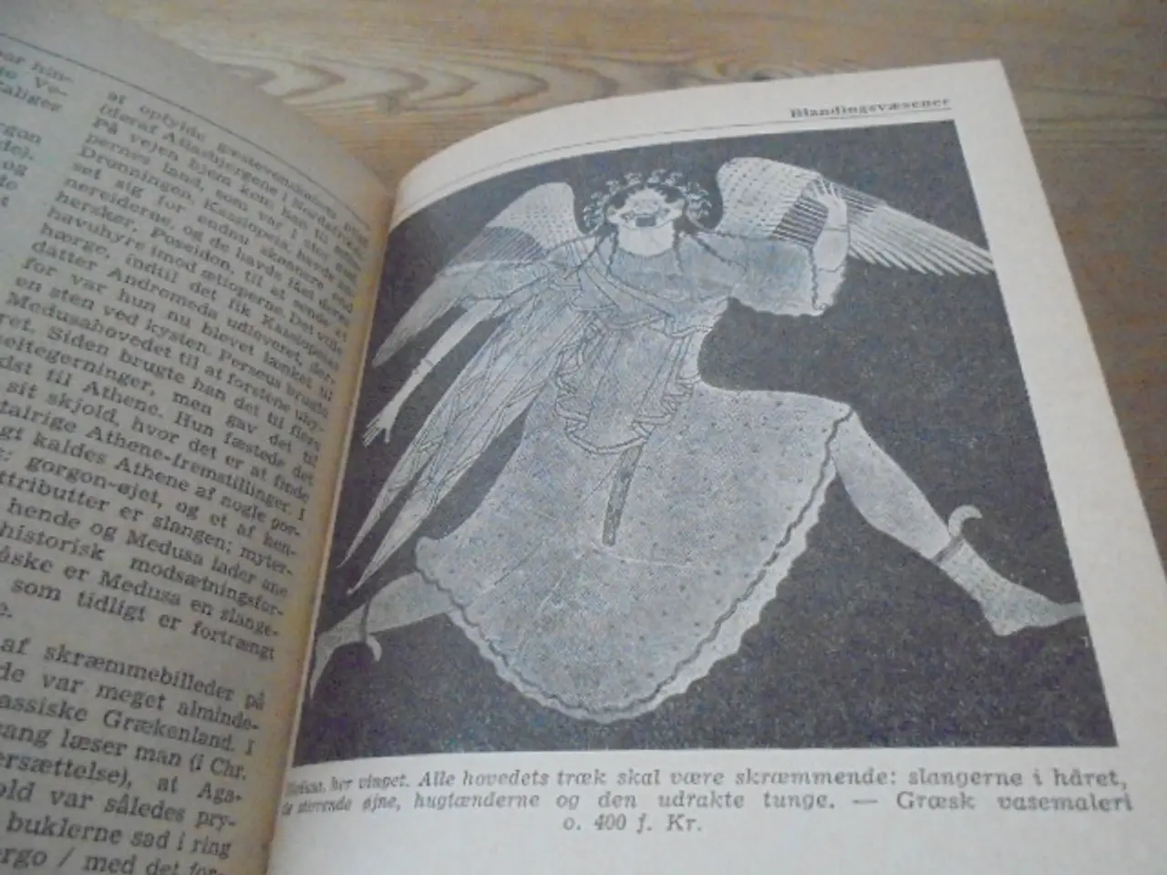 Billede 5 - Fabeldyr og sagnfolk – se fotos og omtale