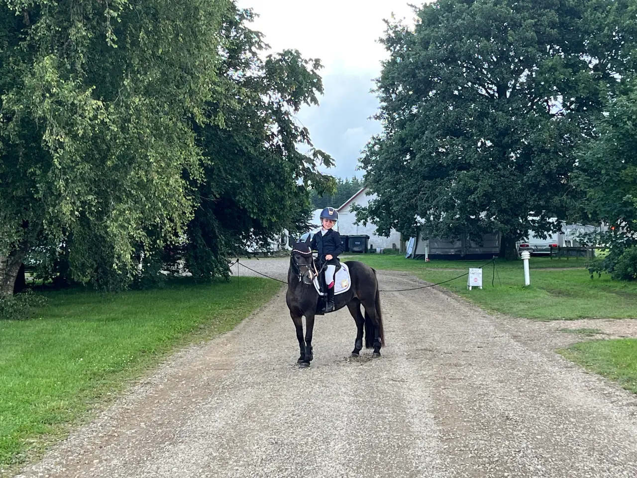 Billede 2 - Sød børne pony Jackie
