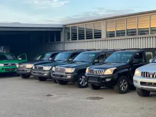 Export biler købes ???