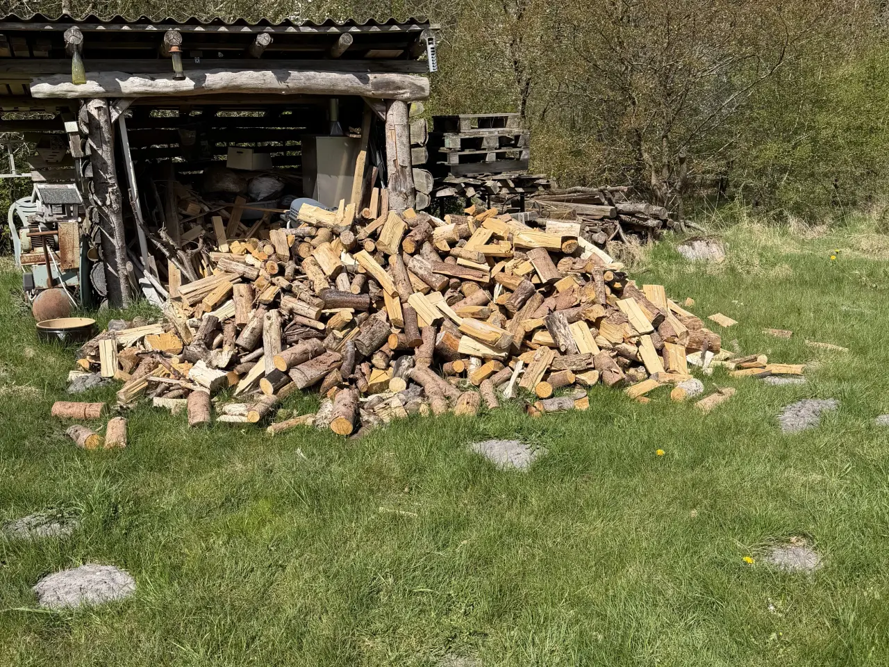 Billede 1 - Blandet løv og gran.