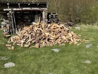 Blandet løv og gran.