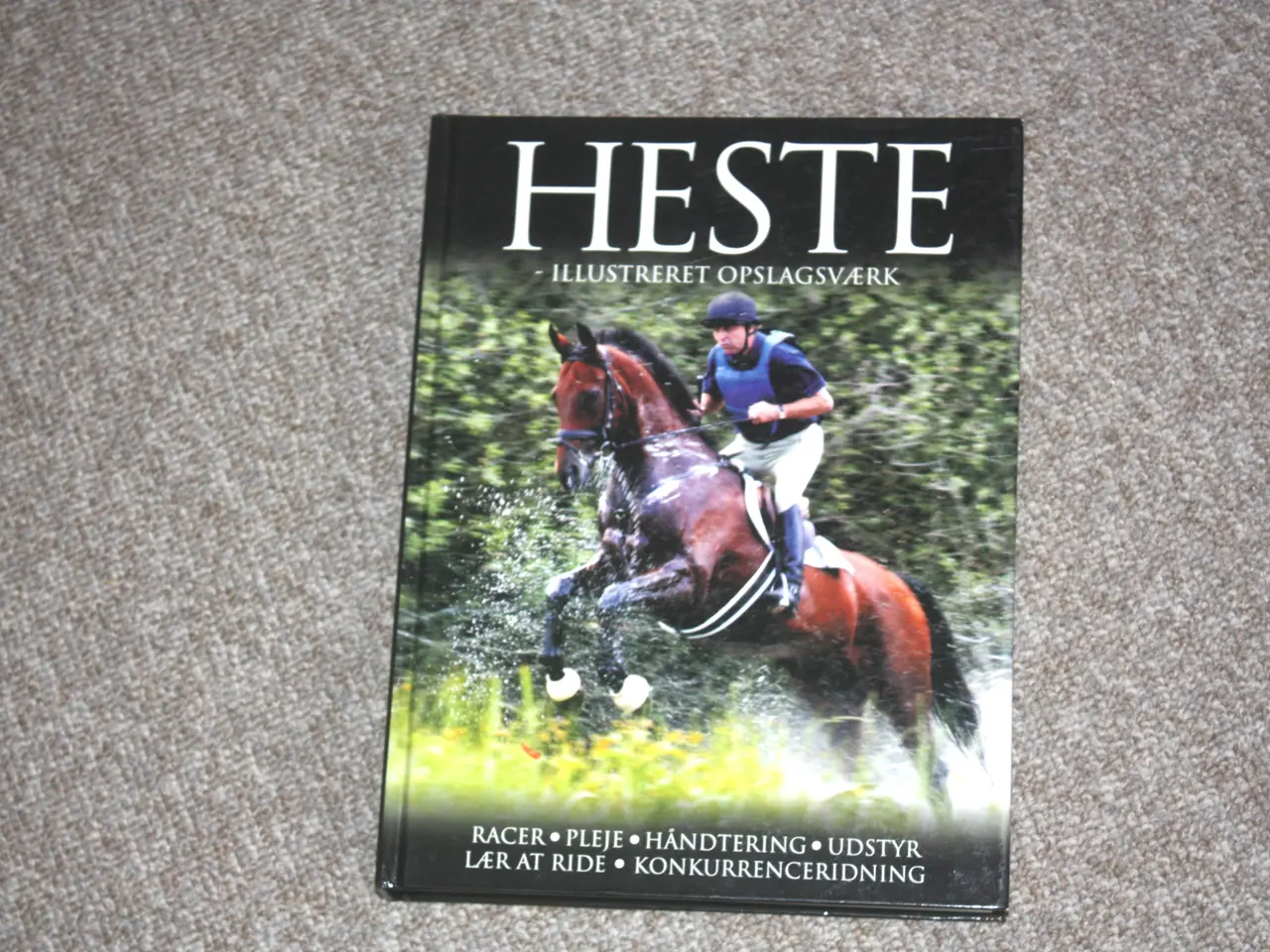 Billede 1 - Heste af Lin Esposito