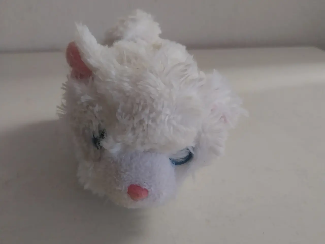 Billede 2 - Kat der kan køre og sige miav