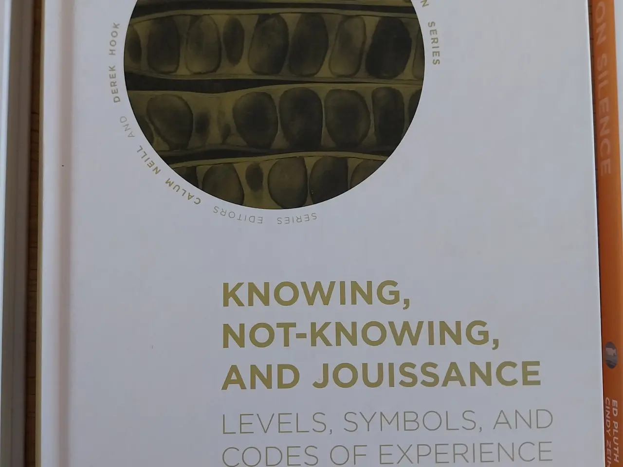 Billede 6 - The Palgrave Lacan Series, fra: