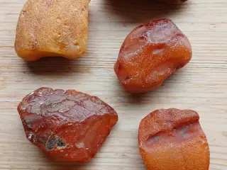 Rav 