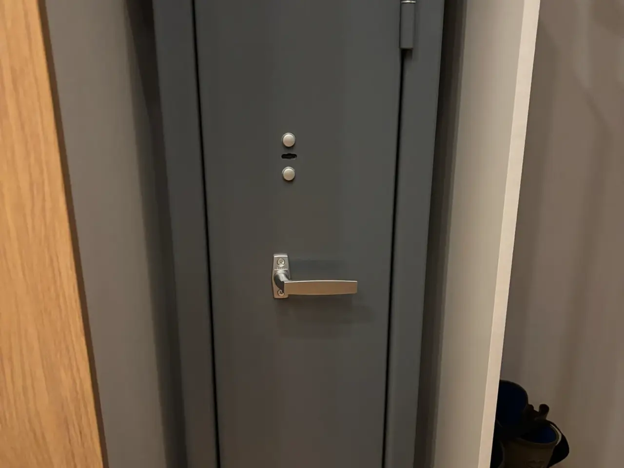 Billede 1 - Våbenskab Norlyx