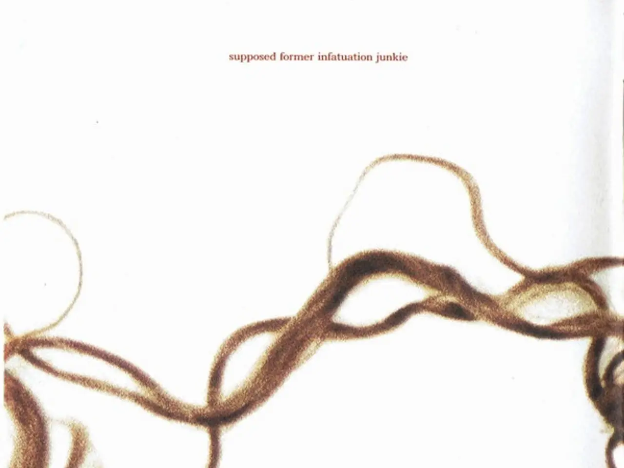 Billede 4 - Alanis Morissette – Supposed Former Infatuation Ju