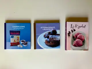Chamallows + Eftermiddagslækkerie Is & sorbet (3 b