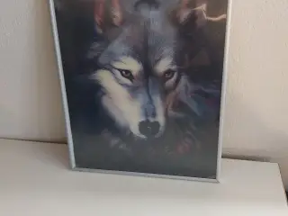 Billede af Ulv. Billede med 3D effekt.