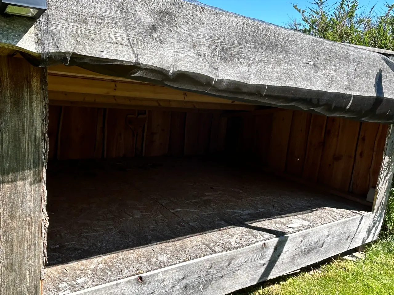 Billede 5 - Shelter tilsalg