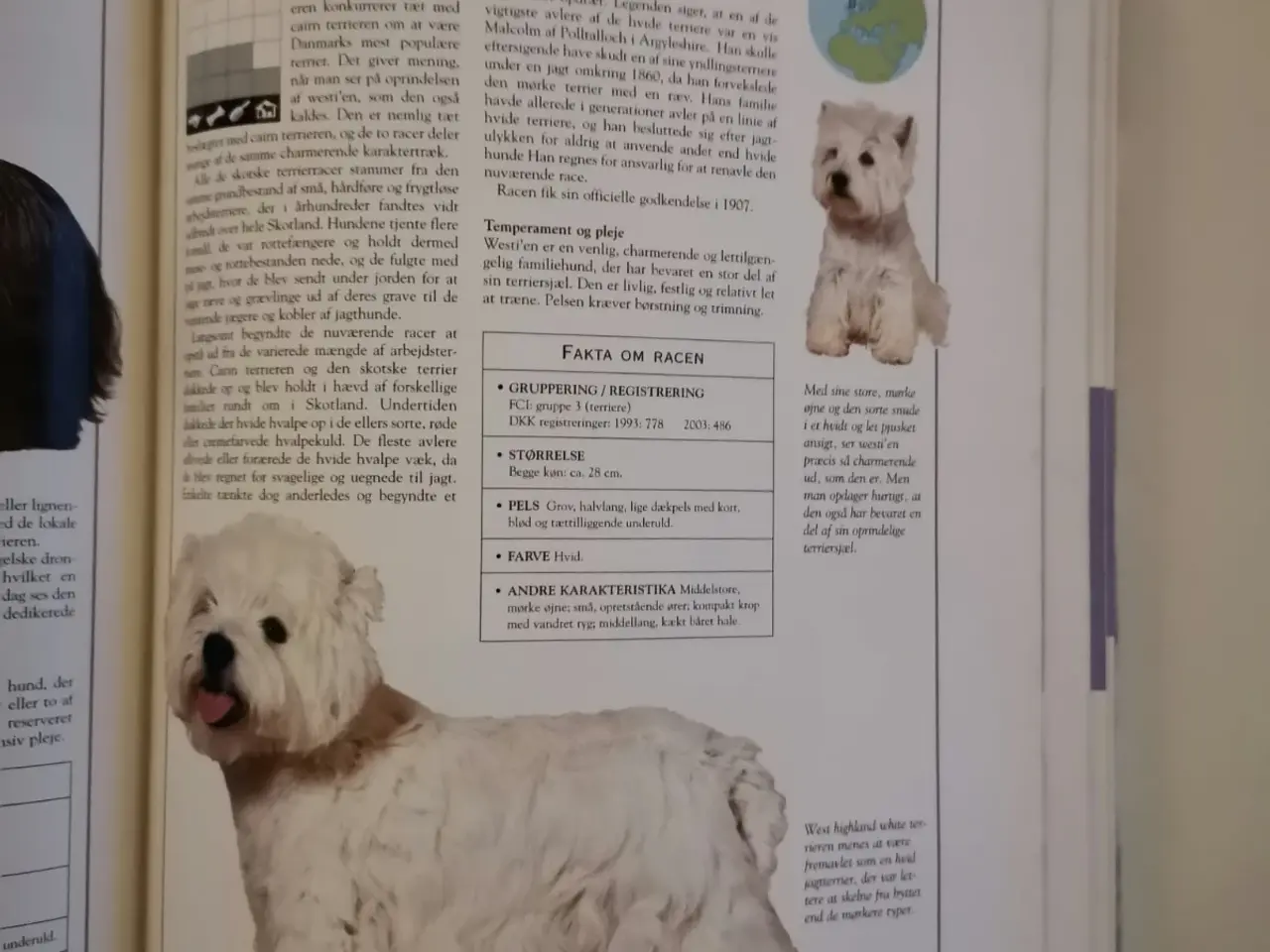 Billede 5 - Hunde af Messent, Palmer m. fl.