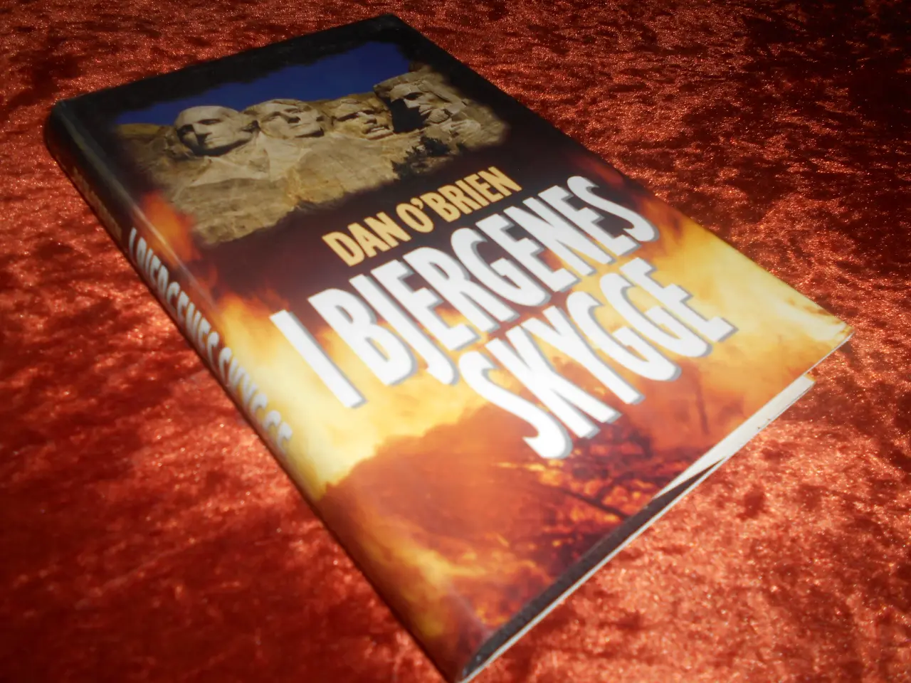 Billede 1 - I bjergenes skygge, Dan O'Brien