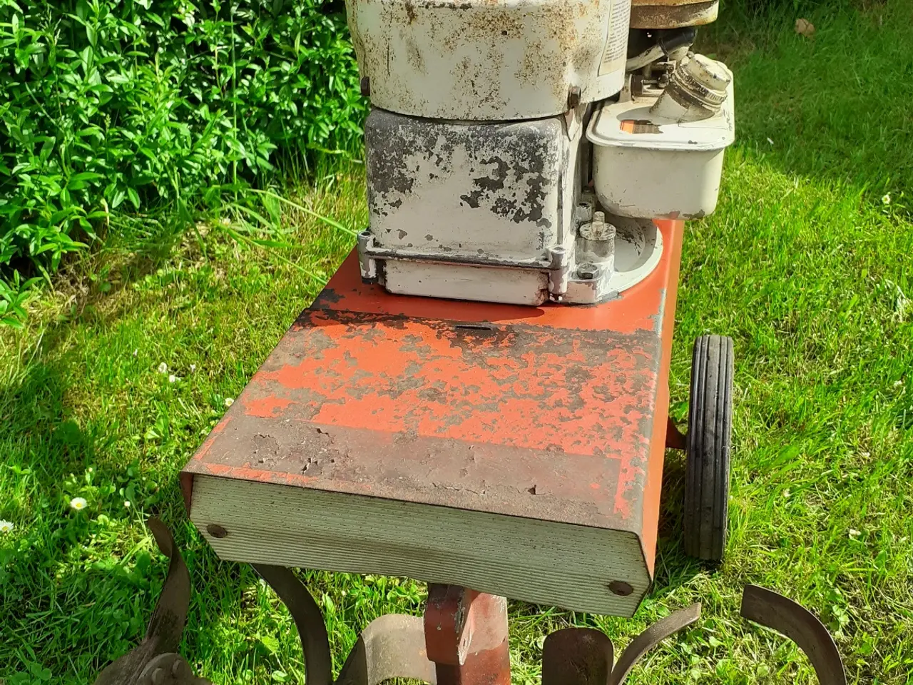 Billede 5 - Mountfield M1 Reto havefræser