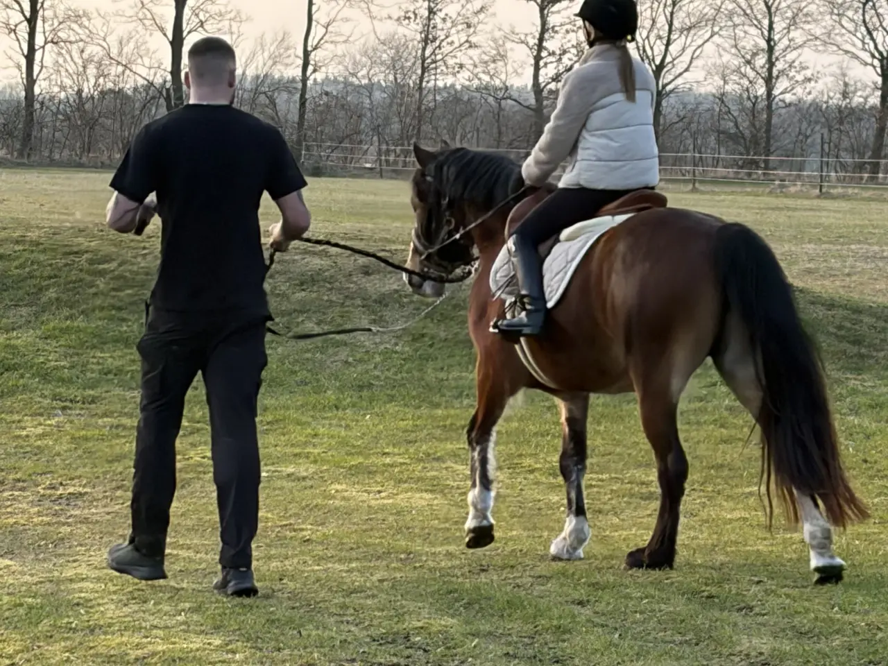 Billede 3 - Welsh Hoppe