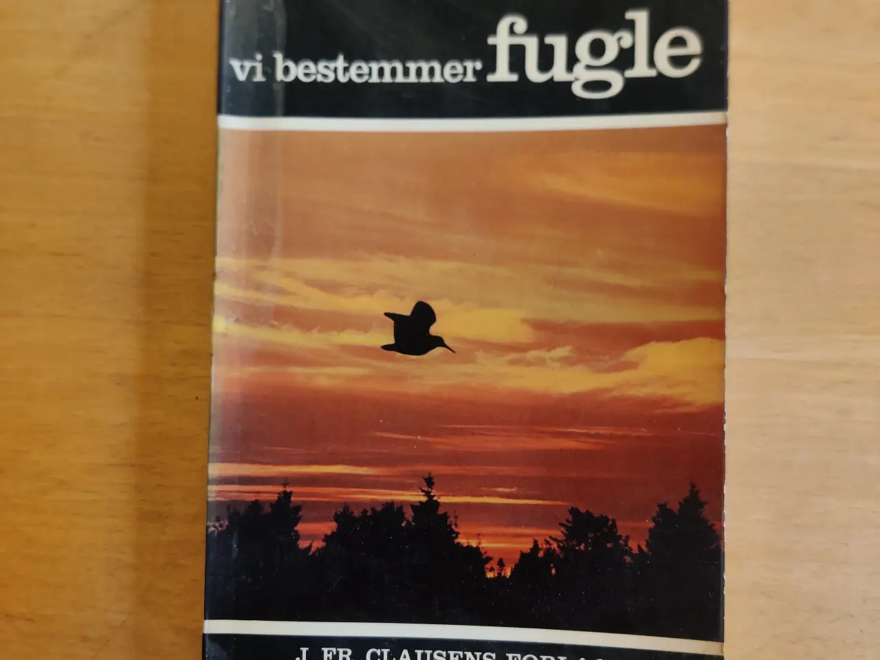 Billede 1 - Vi bestemmer fugle