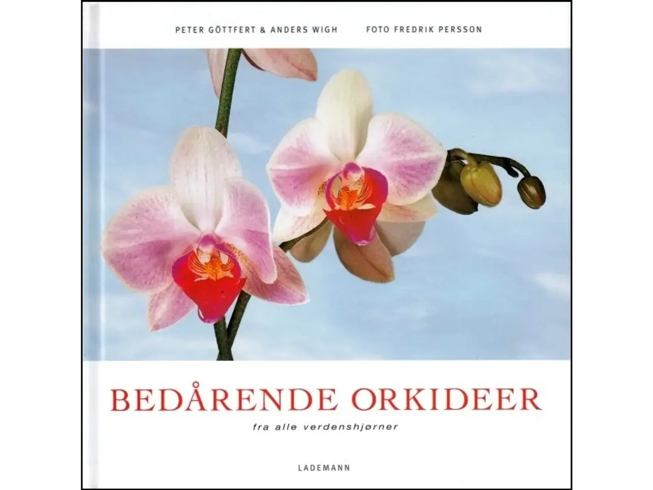 Billede 7 - Orkidéer - 7 Bøger til 60 kr./stk.