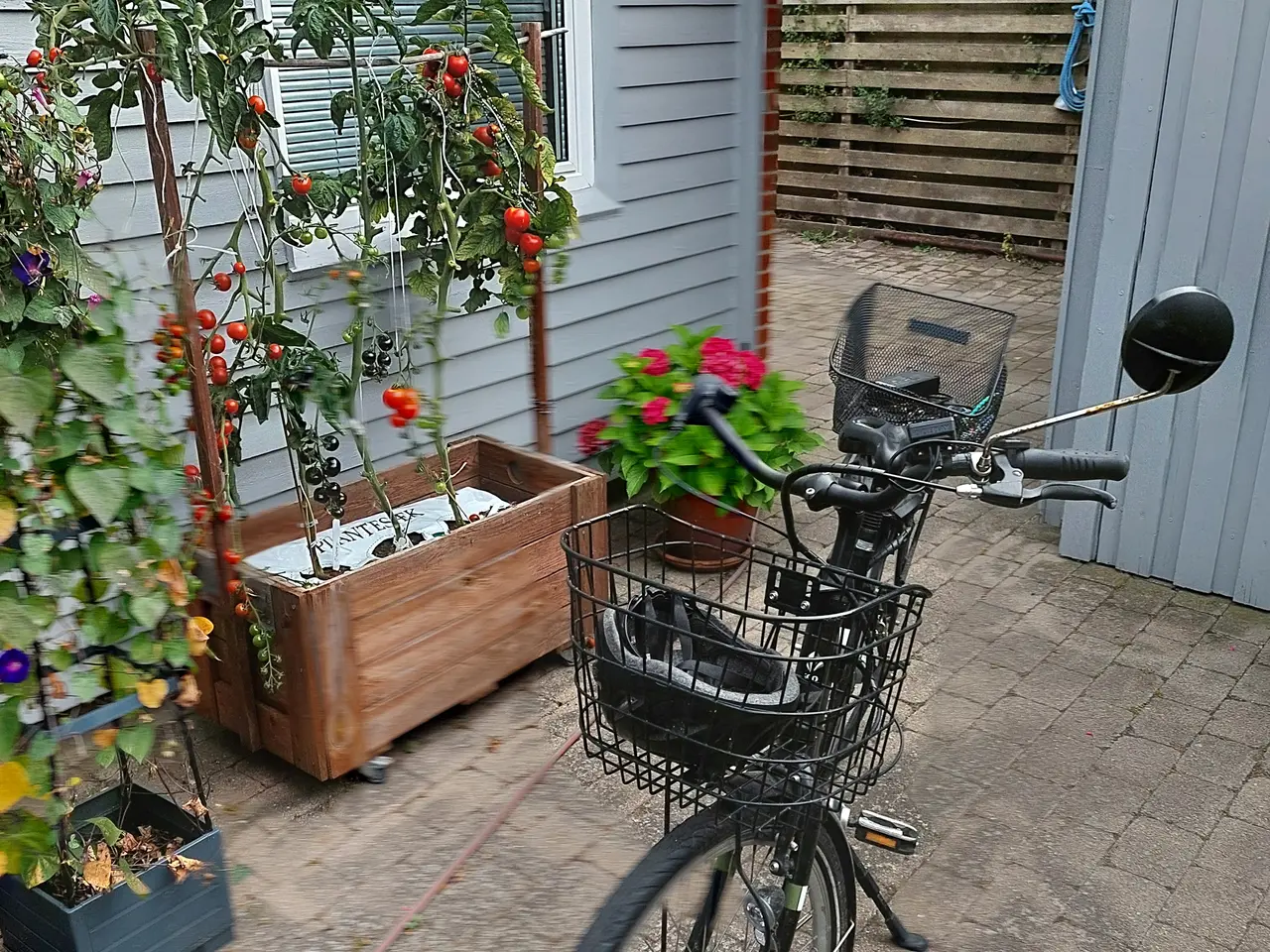 Billede 2 - Sco premium elcykel