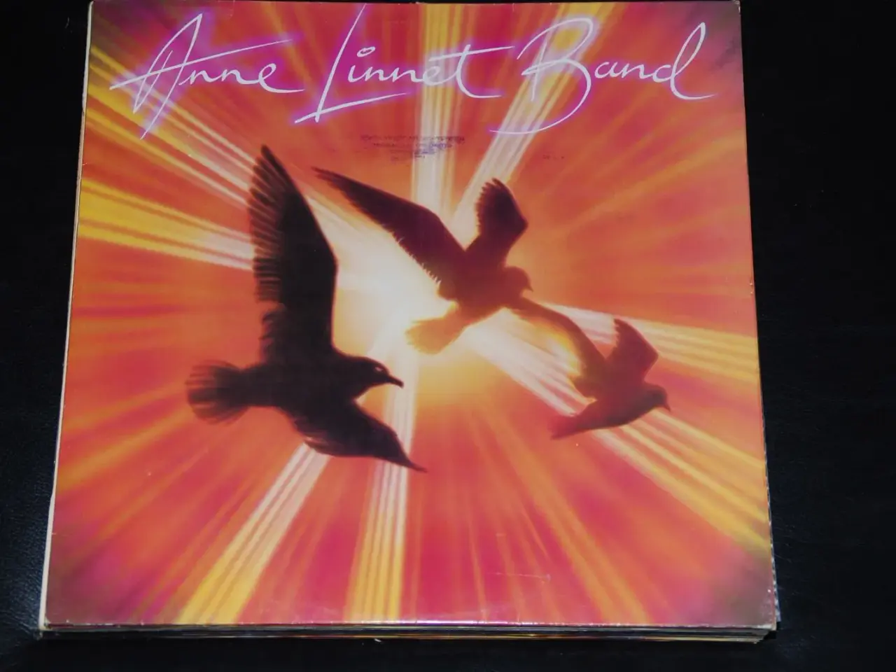 Billede 1 - Lp - Anne Linnet Band