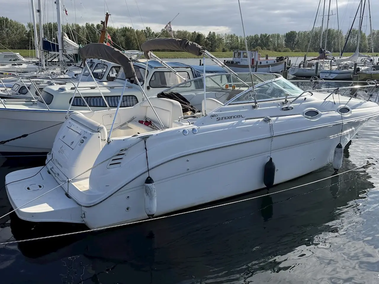 Billede 2 - Sea Ray Sundancer 260