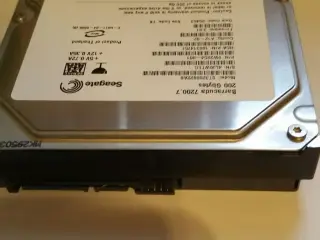 Seagate 200GB SATA 3,5"