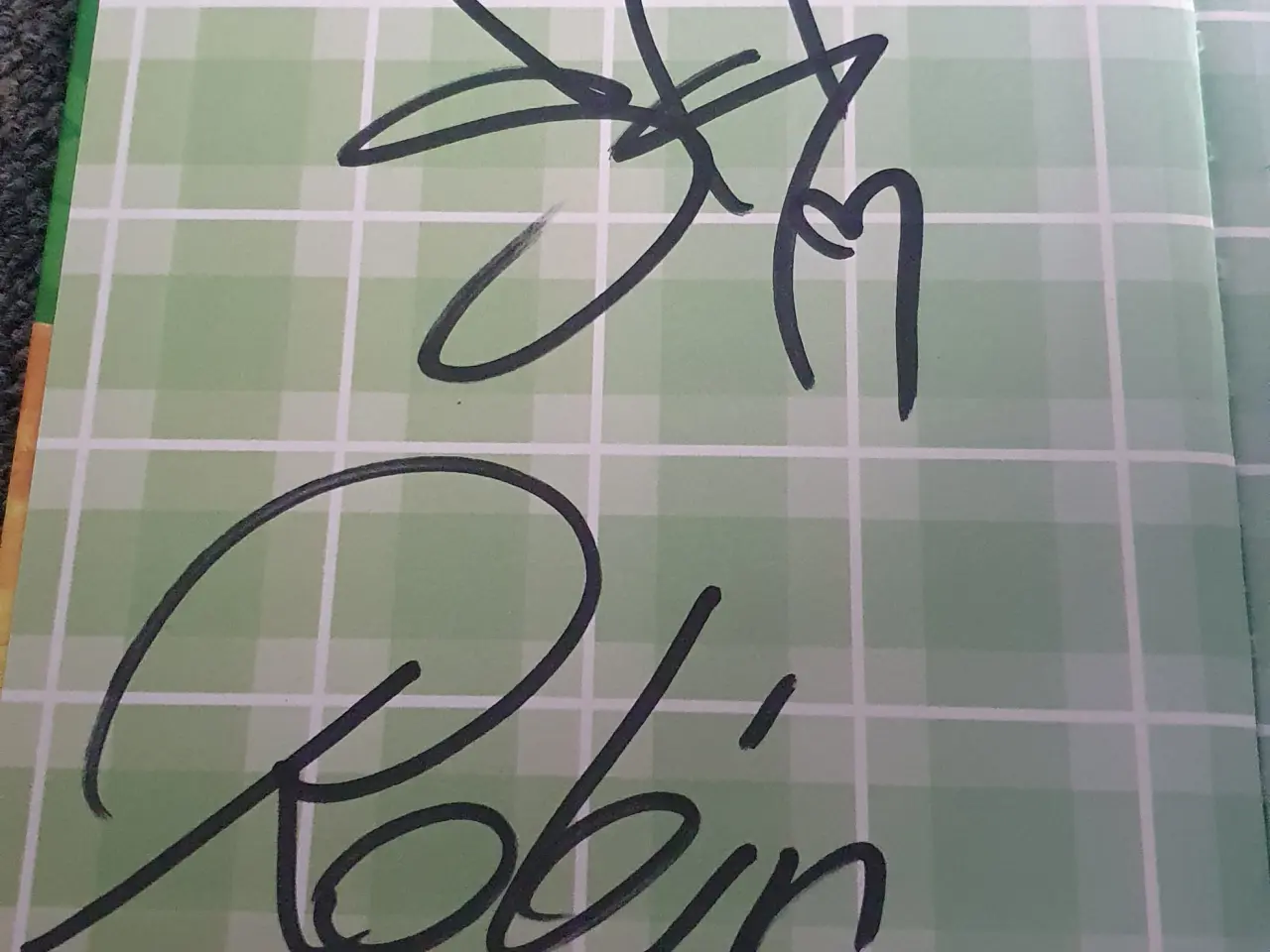 Billede 3 - Robinsamse bog ned autografer 