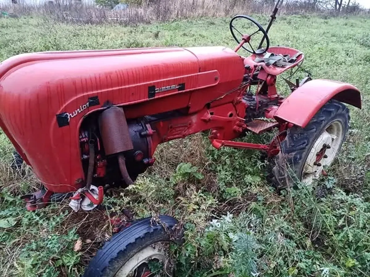 Billede 3 - veterantraktor Porsche 108 junior