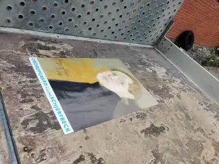 Plakat